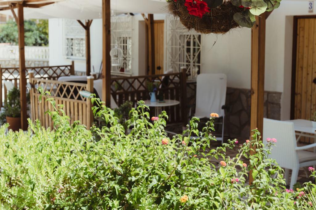 Apartamentos Casa Torres - Adults Only El Albir Bagian luar foto